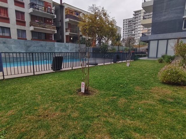 place photo 36