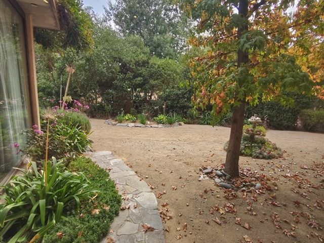 place photo 29
