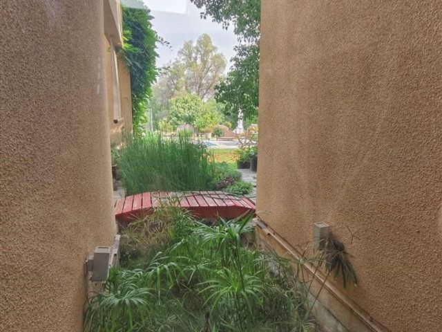 place photo 47