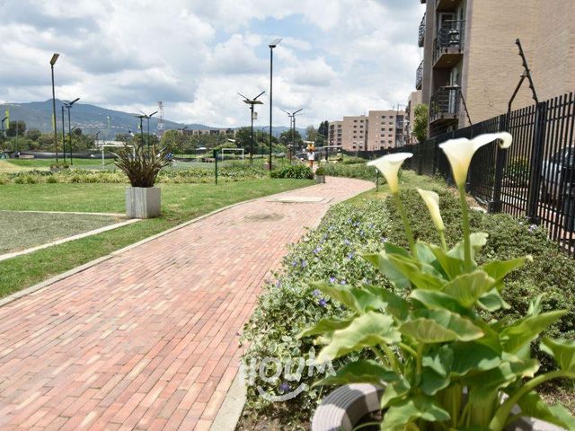 place photo 29