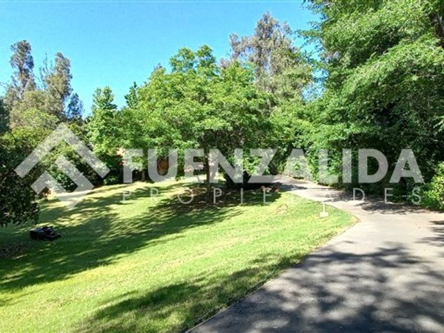place photo 56