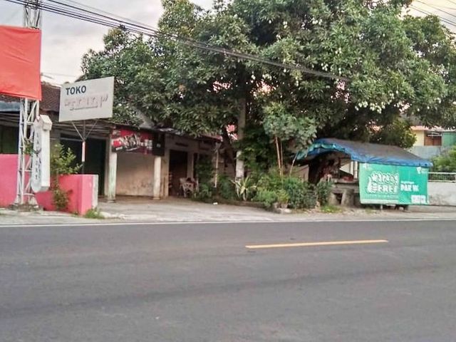 place photo 3