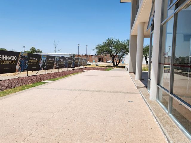 place photo 23