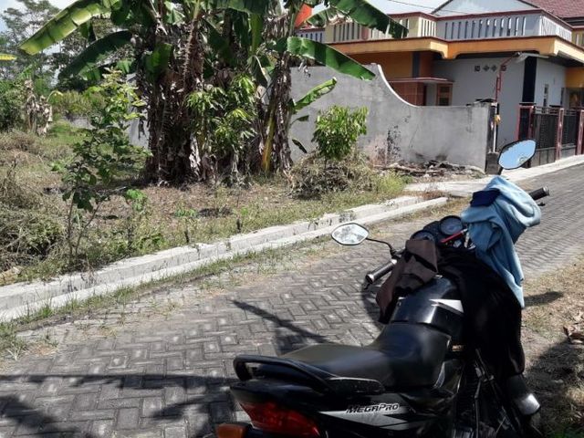place photo 3