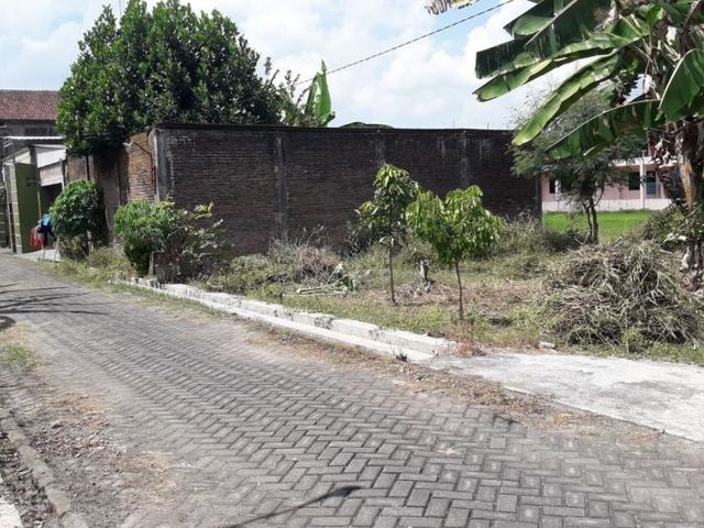 place photo 4