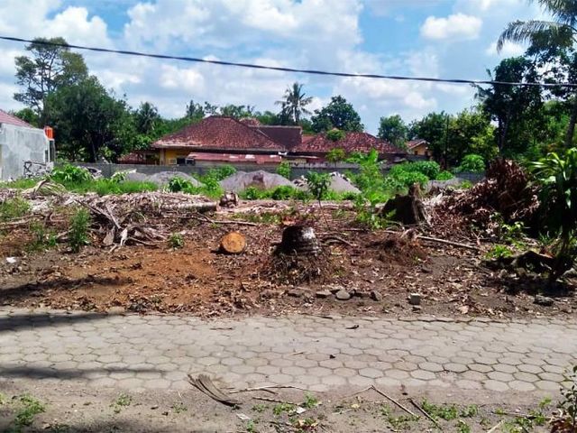 place photo 3
