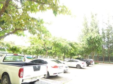 place photo 28
