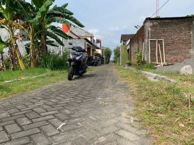 place photo 5