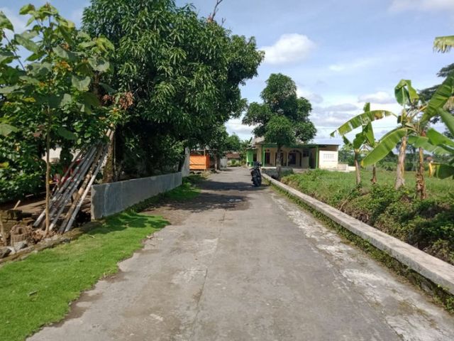place photo 6