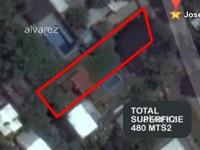 place photo 16