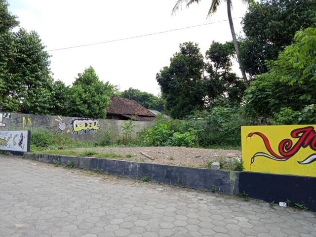 place photo 3