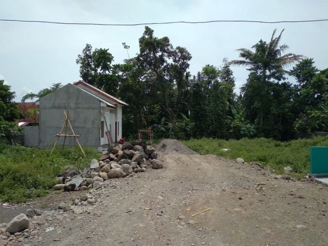 place photo 3
