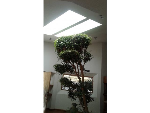 place photo 11