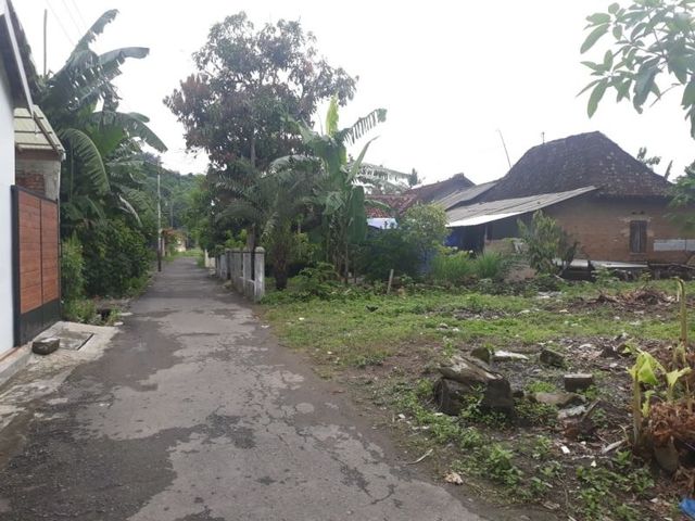place photo 4