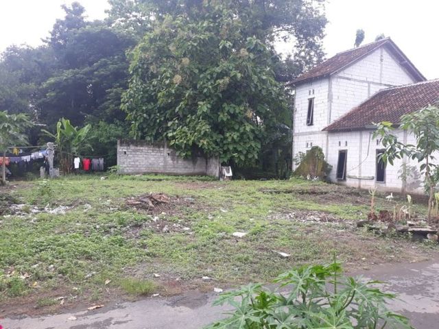 place photo 4