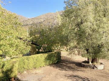 place photo 48