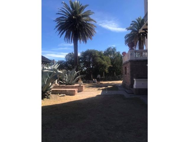 place photo 23