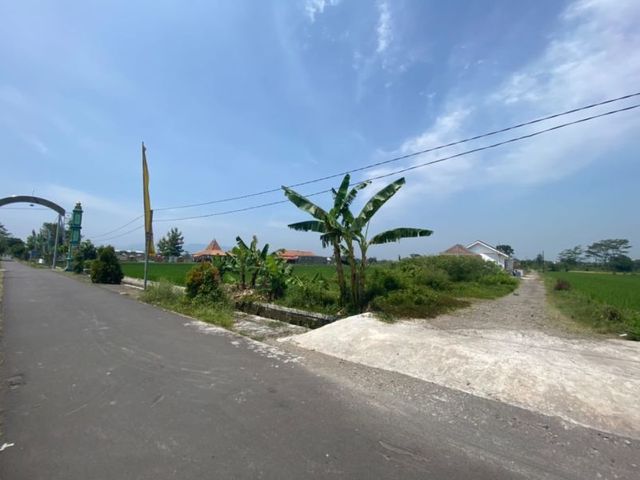 place photo 6