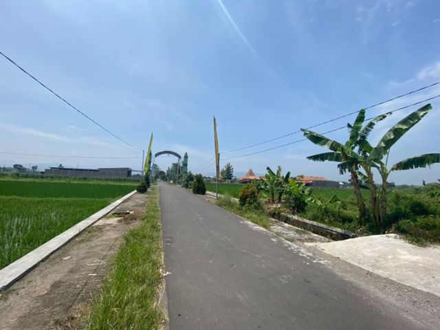 place photo 7