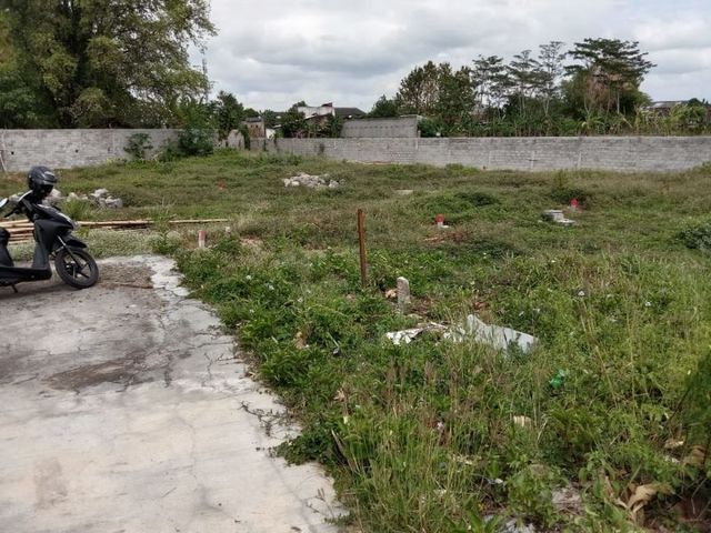 place photo 4