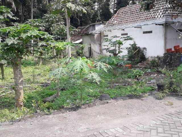 place photo 4