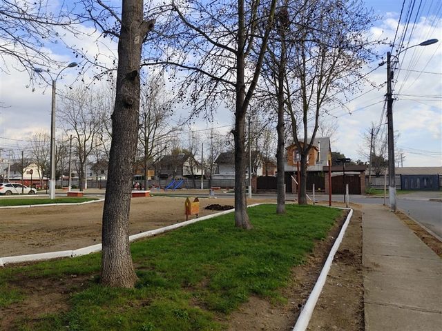place photo 19