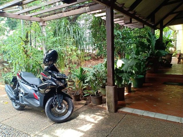 place photo 6
