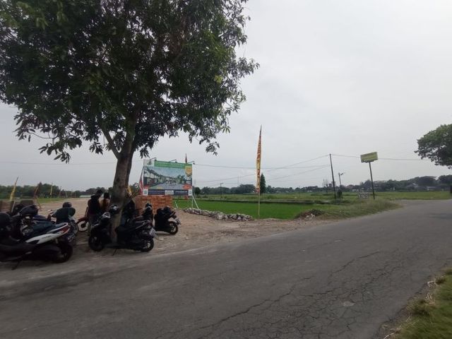 place photo 6