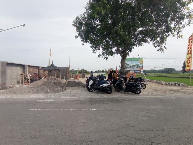 place photo 7