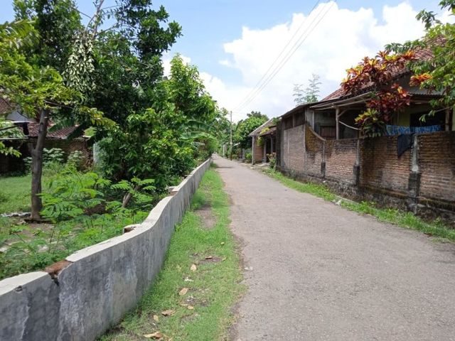 place photo 5