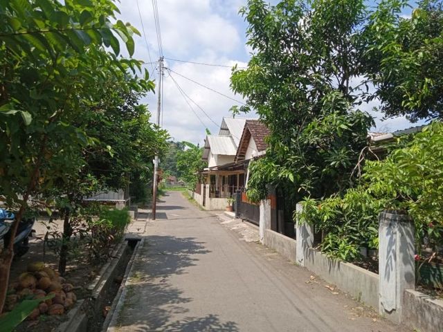 place photo 4