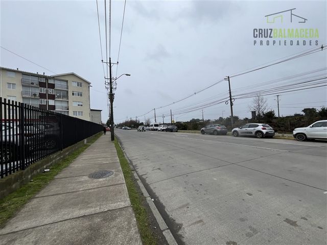 place photo 35