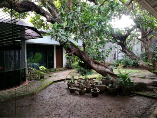 place photo 13