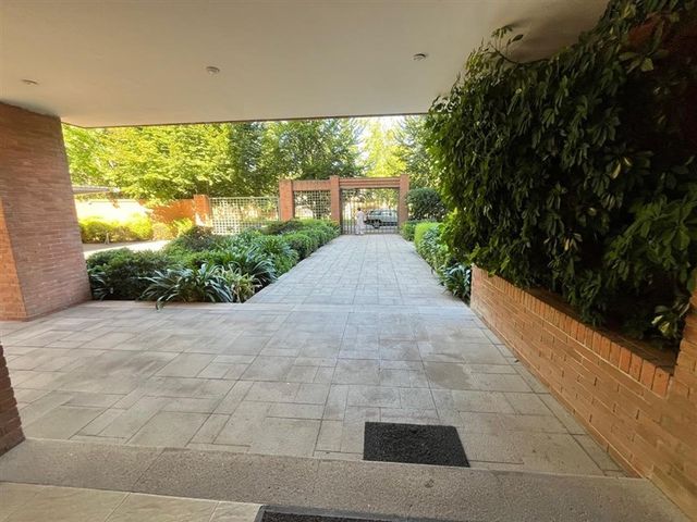 place photo 51