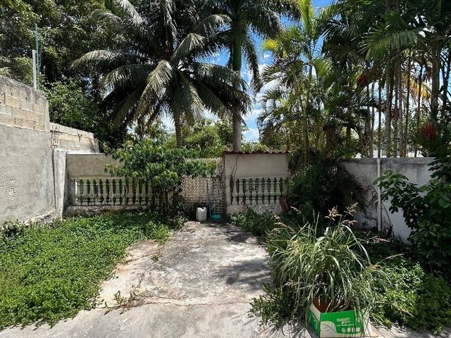place photo 12