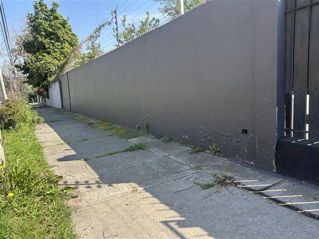 place photo 39
