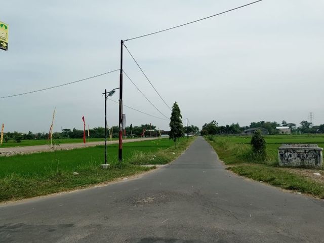 place photo 4