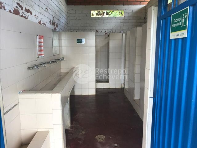 place photo 31