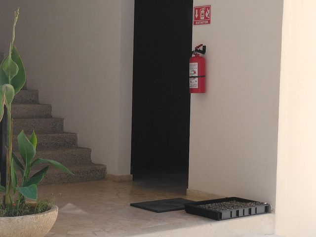 place photo 31