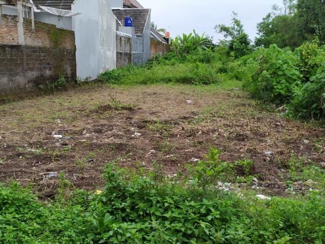 place photo 5