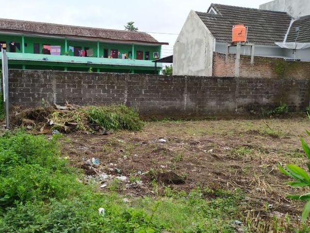 place photo 4