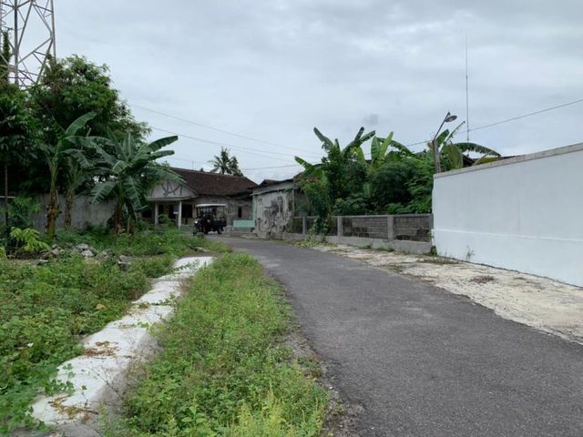 place photo 7