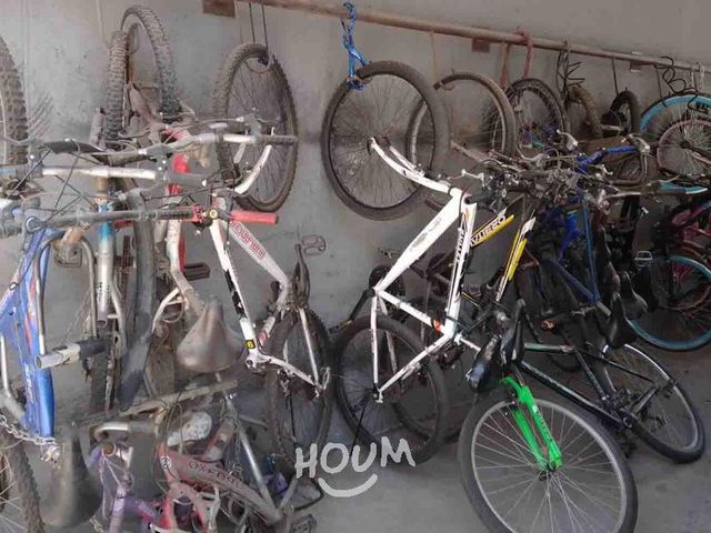 place photo 19