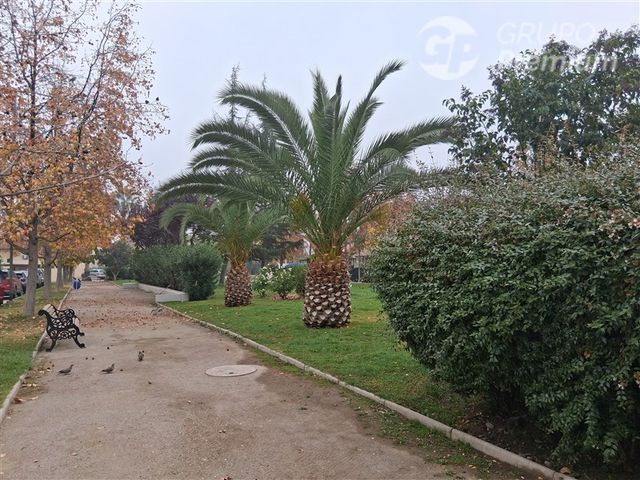 place photo 21
