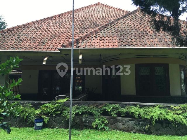 place photo 55