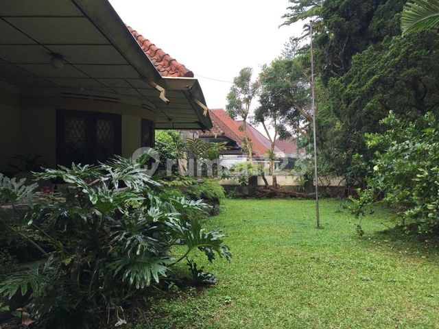 place photo 58