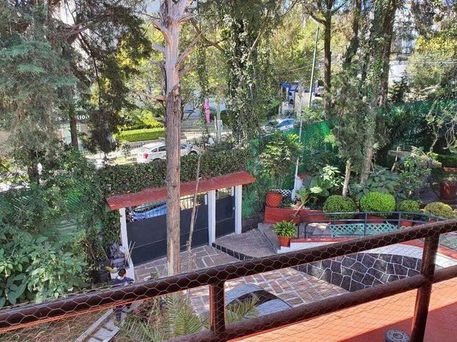 place photo 16