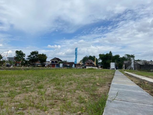 place photo 3