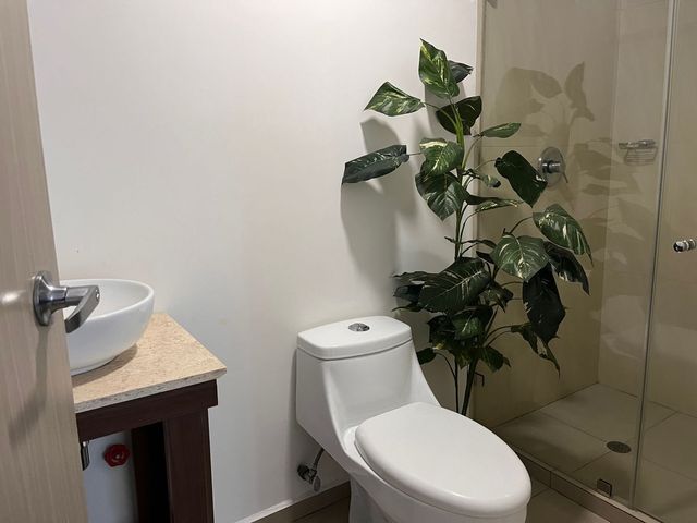 place photo 46