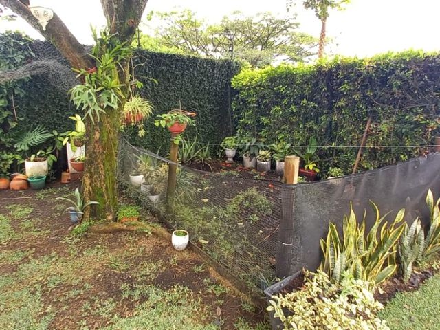 place photo 50